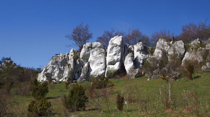 Mały Mur w Rzędkowicach