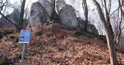 Kubincowa Baszta-