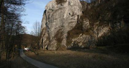 Łysina-