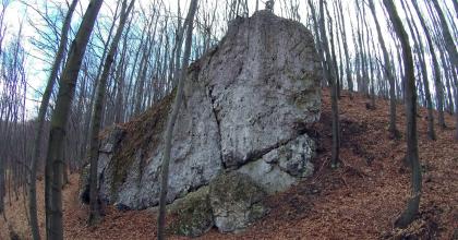 Rzeszoto- Rzeszoto-