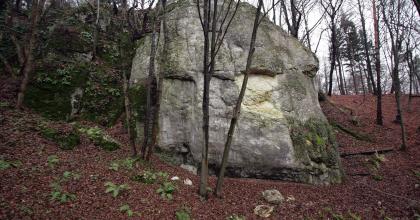 Walec- Walec-