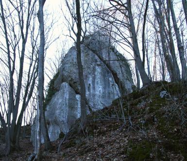 Nowa droga na Skale z Bluszczem w Dolinie Będkowskiej Nowa droga na Skale z Bluszczem w Dolinie Będkowskiej