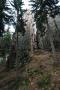 Skalny Most-