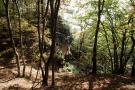 Tropikalna Skała-